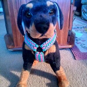 Colorful Dog Harness